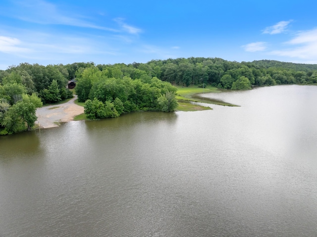 4053 Deer Creek Rd, Linden, TN 37096 - water view with a forest