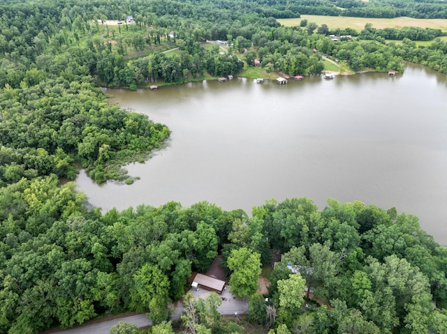 4053 Deer Creek Rd, Linden, TN 37096 - drone / aerial view of a nearby body of water and a forest
