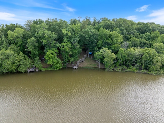 4053 Deer Creek Rd, Linden, TN 37096 - bird's eye view of a nearby body of water