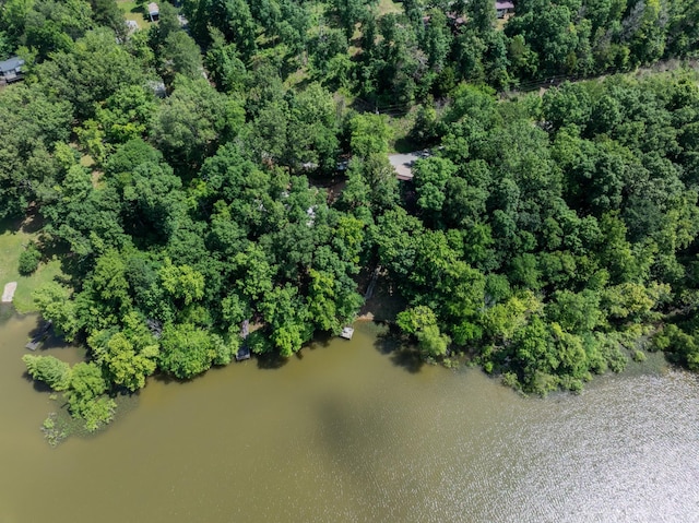 4053 Deer Creek Rd, Linden, TN 37096 - drone / aerial view of a large body of water