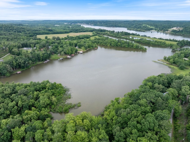 4053 Deer Creek Rd, Linden, TN 37096 - bird's eye view of a large body of water and a forest