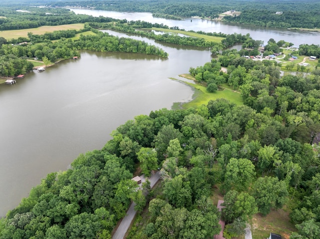 4053 Deer Creek Rd, Linden, TN 37096 - bird's eye view of a nearby body of water and a forest