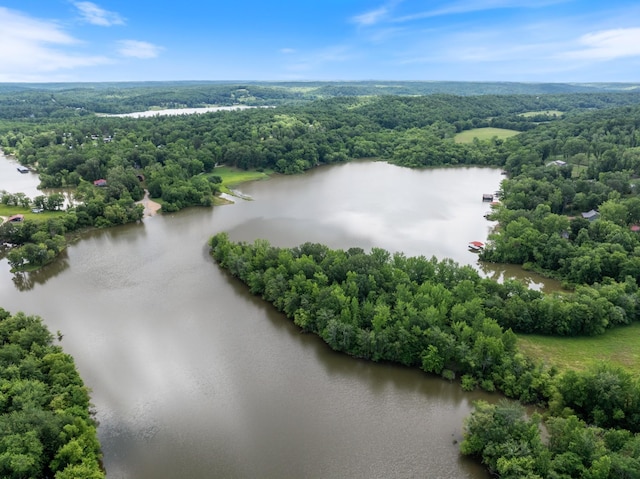 4053 Deer Creek Rd, Linden, TN 37096 - aerial view of a forest and a large body of water