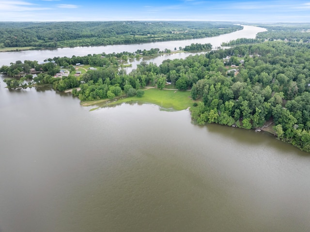 4053 Deer Creek Rd, Linden, TN 37096 - aerial view of a nearby body of water and a heavily wooded area