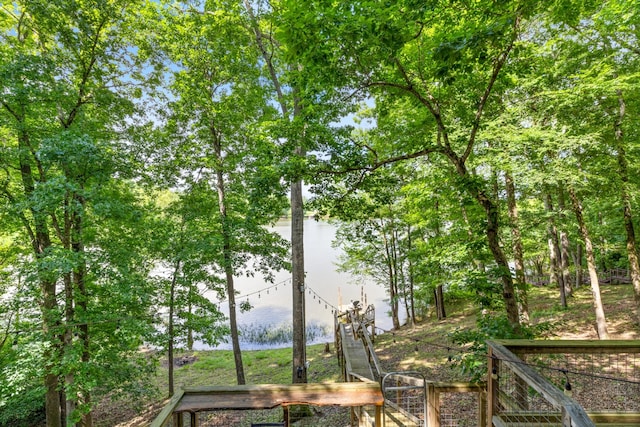 4053 Deer Creek Rd, Linden, TN 37096 - water view
