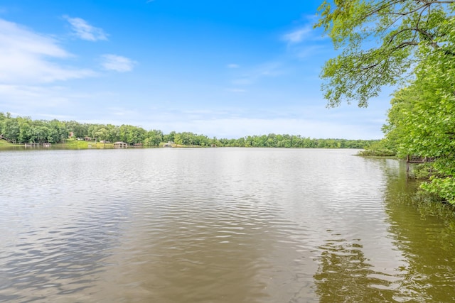 4053 Deer Creek Rd, Linden, TN 37096 - water view