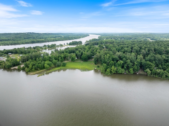 4053 Deer Creek Rd, Linden, TN 37096 - drone / aerial view of a large body of water and a forest