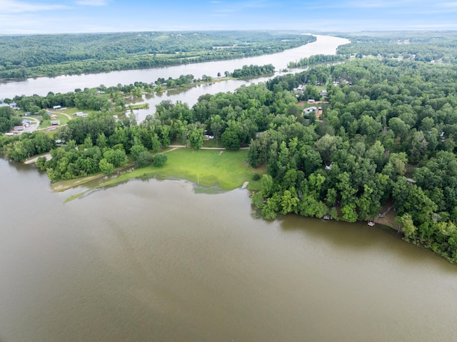 4053 Deer Creek Rd, Linden, TN 37096 - bird's eye view of a nearby body of water and a forest