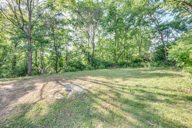 117 Apollo Ct W, Antioch, TN 37013 - view of grassy yard with a view of trees