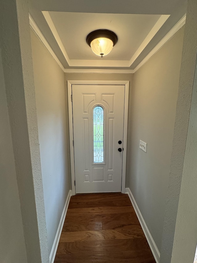 2306 Raspberry Ln, Lebanon, TN 37087 - doorway with a raised ceiling, dark wood-style floors, and baseboards