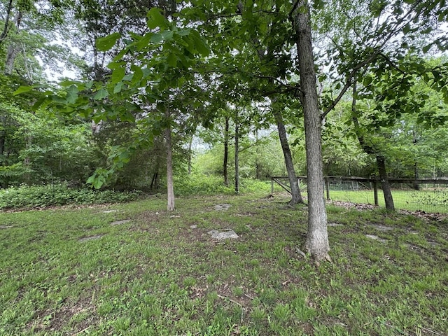 2306 Raspberry Ln, Lebanon, TN 37087 - view of yard