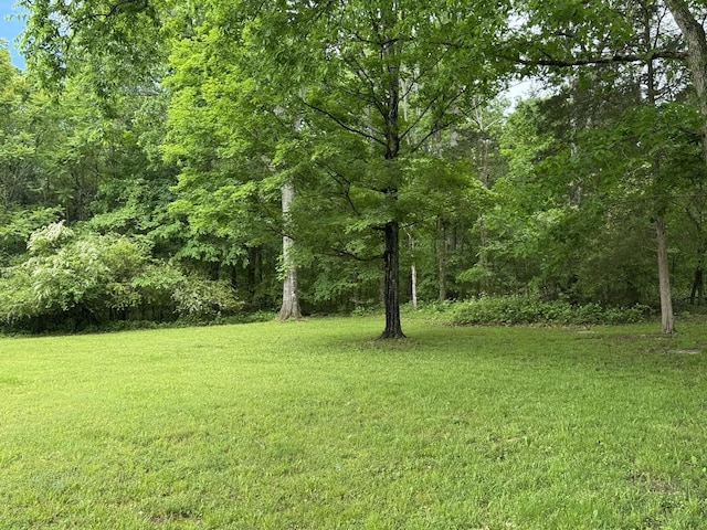 2306 Raspberry Ln, Lebanon, TN 37087 - view of green lawn featuring a forest view