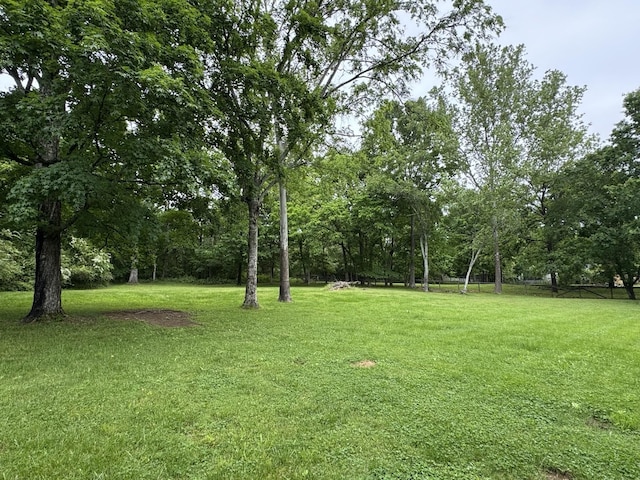 2306 Raspberry Ln, Lebanon, TN 37087 - view of grassy yard