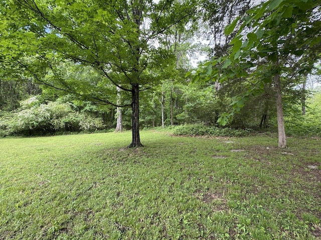 2306 Raspberry Ln, Lebanon, TN 37087 - view of grassy yard featuring a wooded view