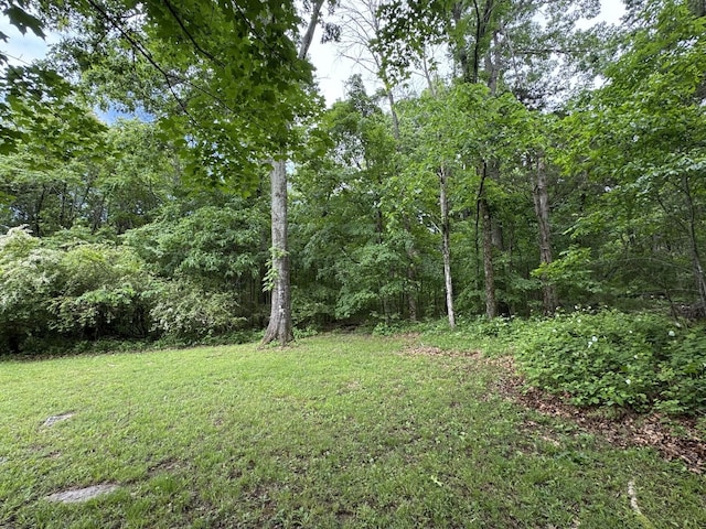 2306 Raspberry Ln, Lebanon, TN 37087 - view of grassy yard with a wooded view