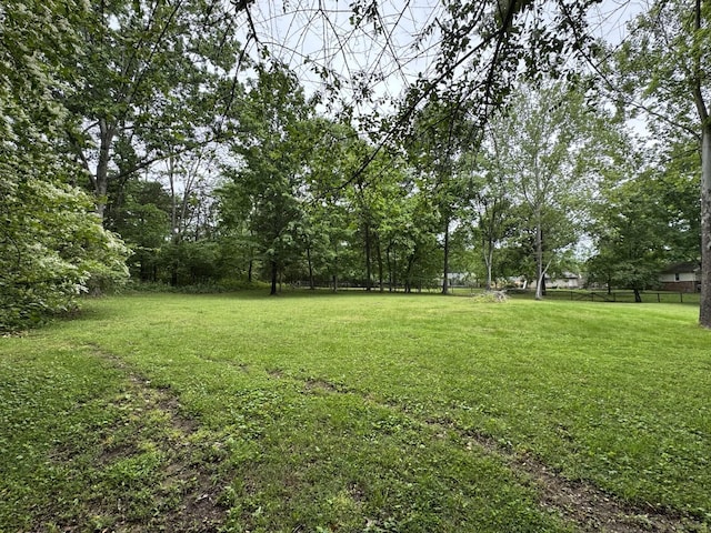 2306 Raspberry Ln, Lebanon, TN 37087 - view of yard