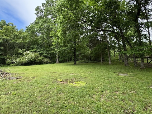 2306 Raspberry Ln, Lebanon, TN 37087 - view of green lawn with a wooded view