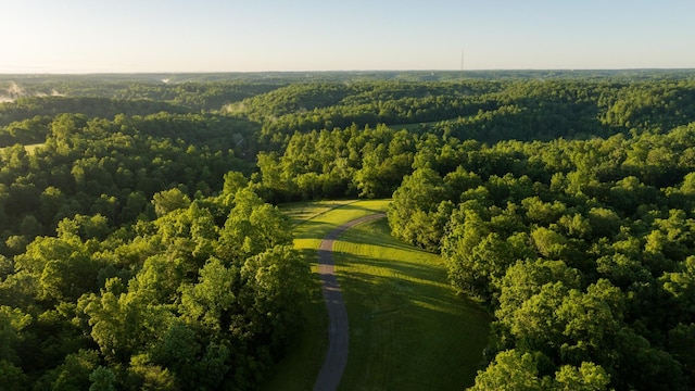 7556 Caney Fork Rd, Fairview, TN 37062