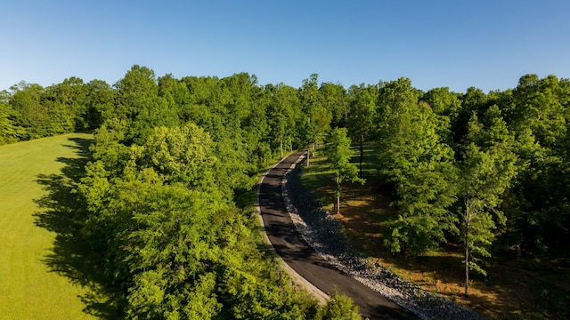 7556 Caney Fork Rd, Fairview, TN 37062