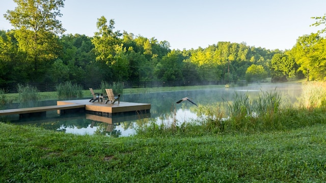 7556 Caney Fork Rd, Fairview, TN 37062