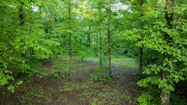 7556 Caney Fork Rd, Fairview, TN 37062