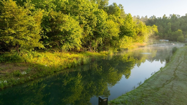 7556 Caney Fork Rd, Fairview, TN 37062