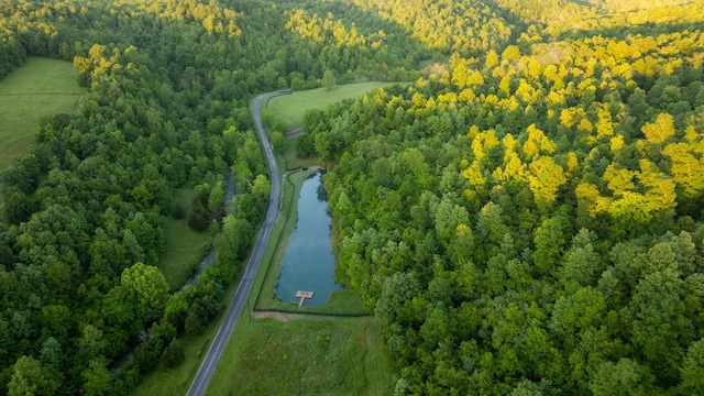 7556 Caney Fork Rd, Fairview, TN 37062