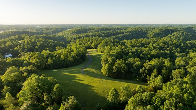 7556 Caney Fork Rd, Fairview, TN 37062