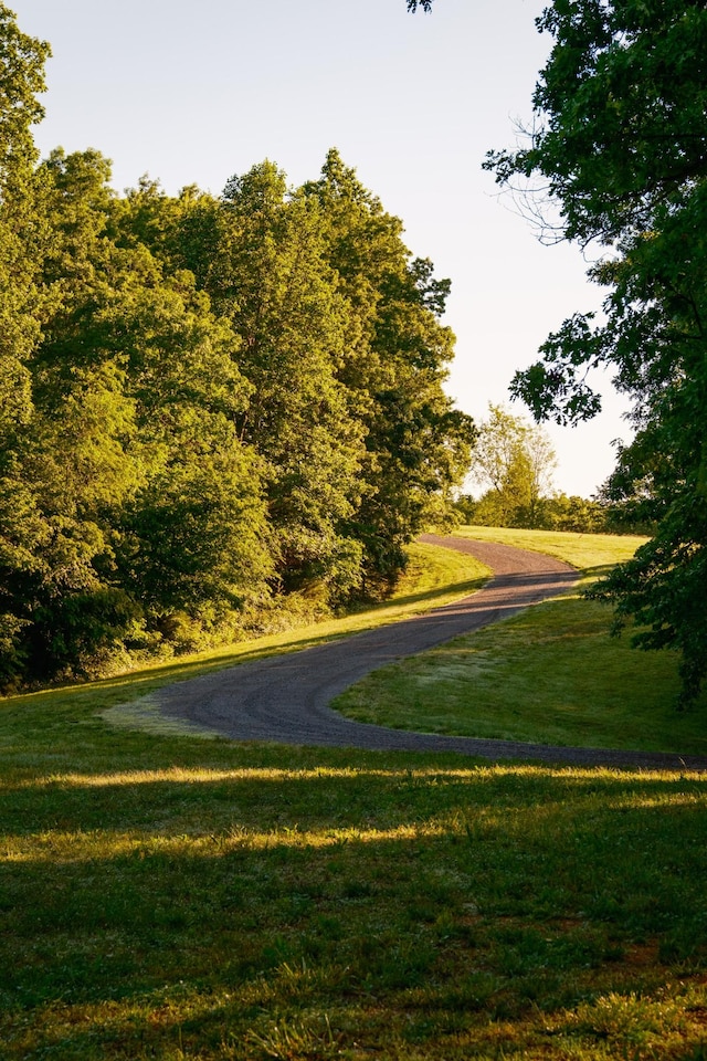 7556 Caney Fork Rd, Fairview, TN 37062