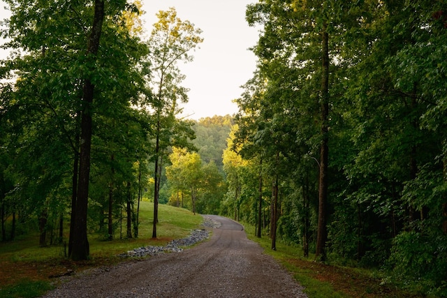 7556 Caney Fork Rd, Fairview, TN 37062