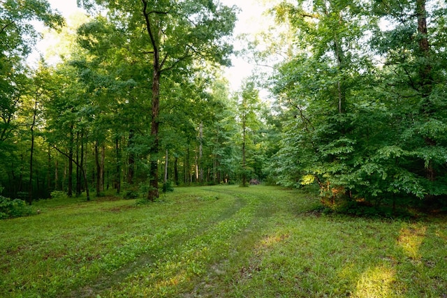 7556 Caney Fork Rd, Fairview, TN 37062