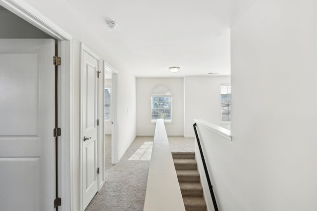 2003 Allerton Way, Spring Hill, TN 37174 - hall featuring light colored carpet and baseboards