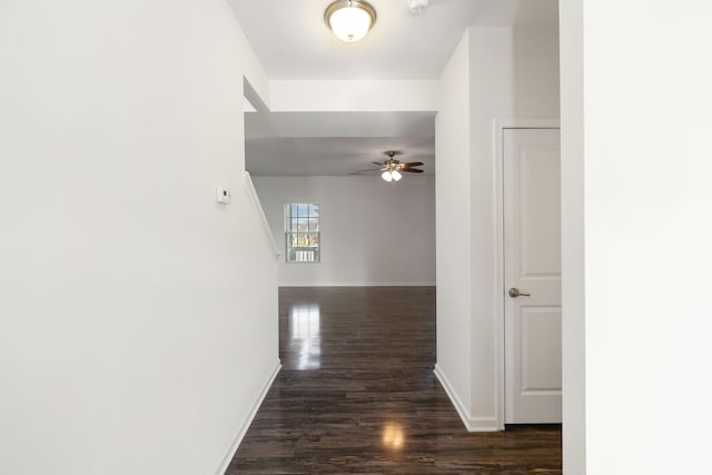 2003 Allerton Way, Spring Hill, TN 37174 - hall featuring dark wood-style floors and baseboards