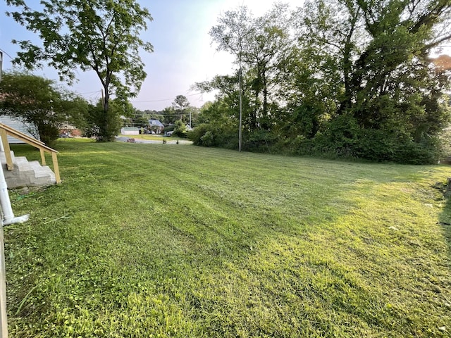 119 Maple Ave, Camden, TN 38320 - view of grassy yard