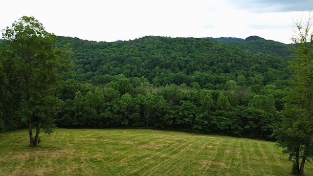 1291 Johnson Hollow Rd, Watertown, TN 37184 - photo 2