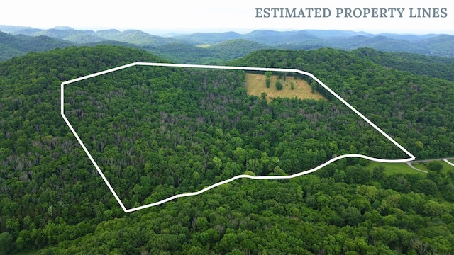 1291 Johnson Hollow Rd, Watertown, TN 37184 - photo 4
