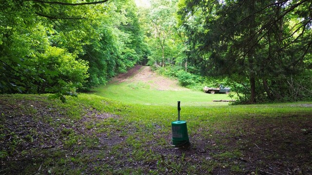 1291 Johnson Hollow Rd, Watertown, TN 37184 - photo 30