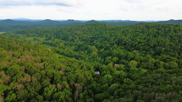 1291 Johnson Hollow Rd, Watertown, TN 37184 - photo 18