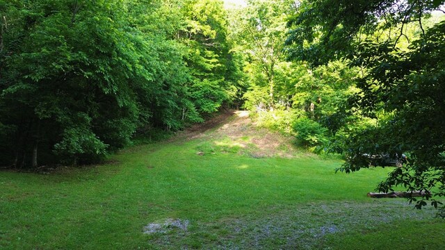 1291 Johnson Hollow Rd, Watertown, TN 37184 - photo 26