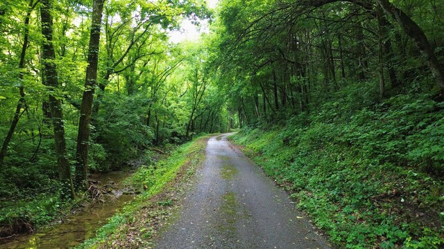 1291 Johnson Hollow Rd, Watertown, TN 37184 - photo 14