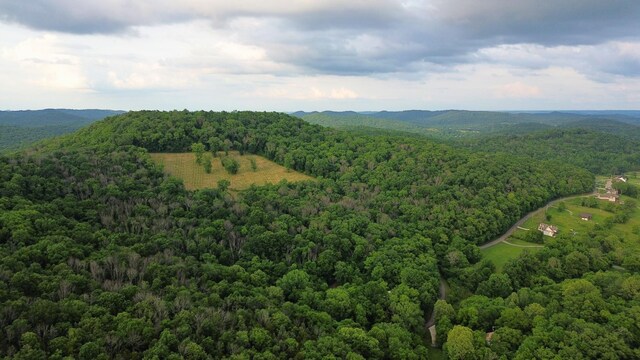 1291 Johnson Hollow Rd, Watertown, TN 37184 - photo 29