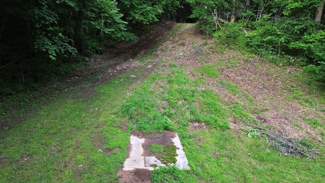 1291 Johnson Hollow Rd, Watertown, TN 37184 - photo 28