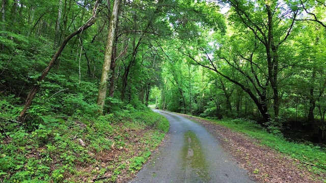 1291 Johnson Hollow Rd, Watertown, TN 37184 - photo 16