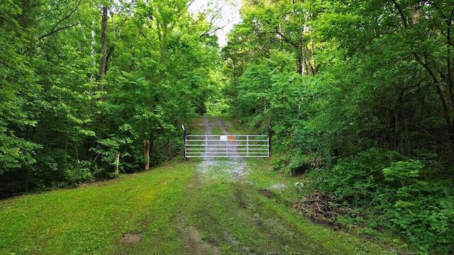 1291 Johnson Hollow Rd, Watertown, TN 37184 - photo 15