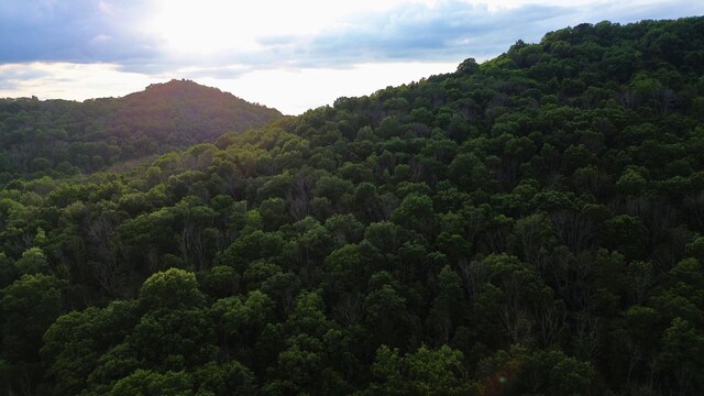 1291 Johnson Hollow Rd, Watertown, TN 37184 - photo 12