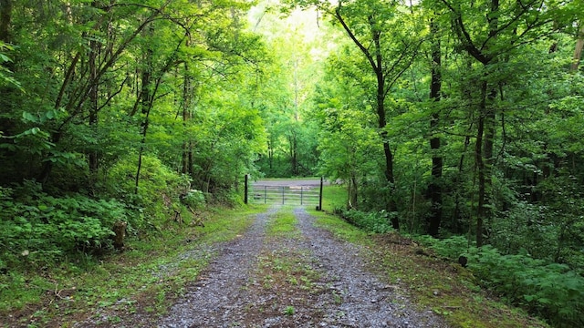 1291 Johnson Hollow Rd, Watertown, TN 37184 - photo 34
