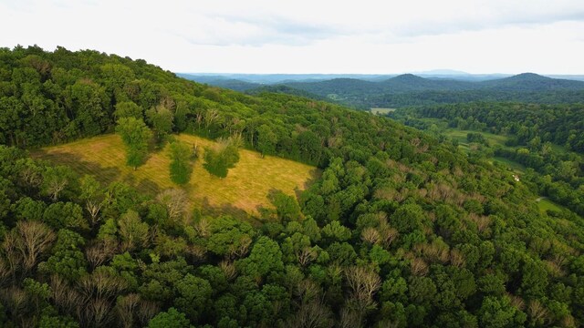 1291 Johnson Hollow Rd, Watertown, TN 37184 - photo 3