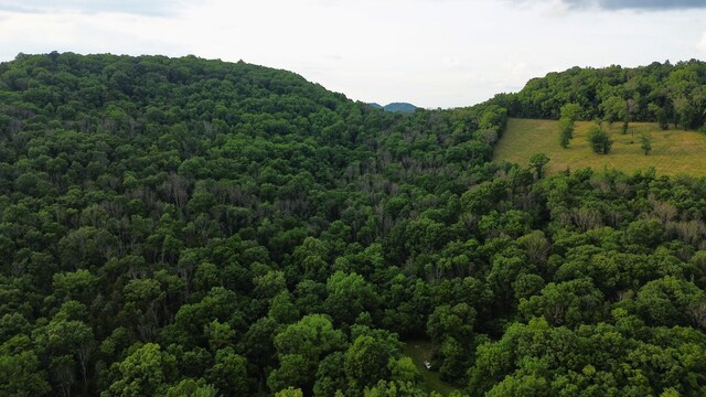 1291 Johnson Hollow Rd, Watertown, TN 37184 - photo 31