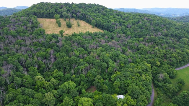 1291 Johnson Hollow Rd, Watertown, TN 37184 - photo 8