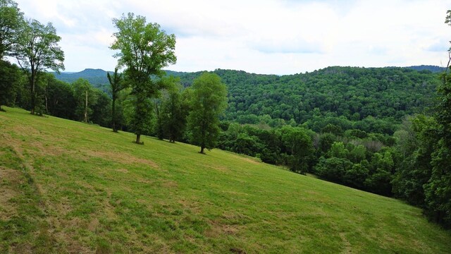 1291 Johnson Hollow Rd, Watertown, TN 37184 - photo 7